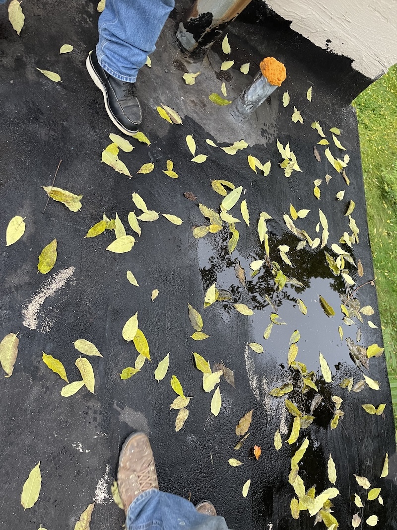 Potterville MI Roofing Services